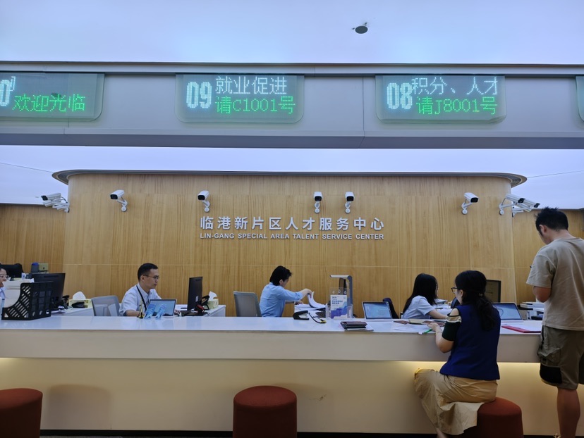 跨越山海的临港诚意——记新片区国际人才服务港团队