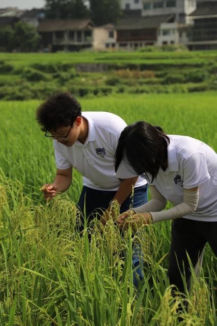 知行计划发布2026春季学期首批青年项目，联动十余家知名企业及机构赋能千校大学生
