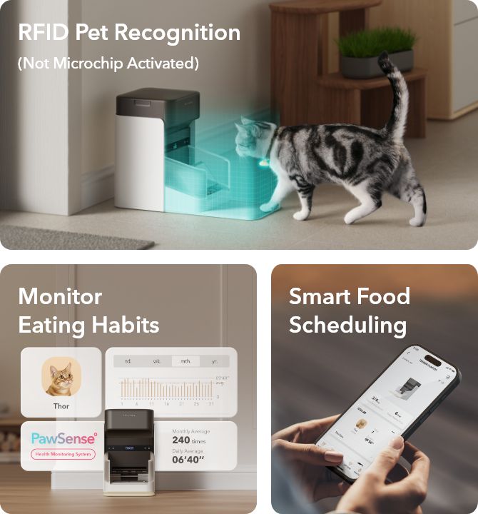 one_rfid_pet_feeder_–_petlibro.jpg