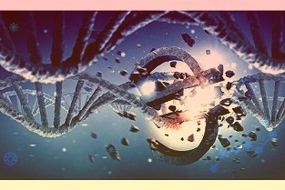 虽然预计手机销量会有所下降2022年使用oled面板的手机的比例将会上升