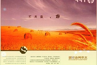 一加官宣了一加10pro胖达白512gb至尊版