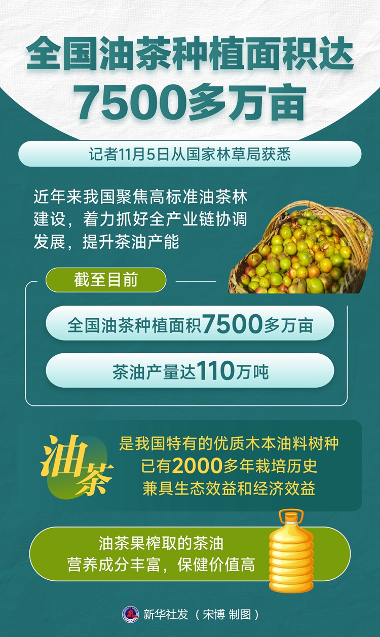 全国油茶种植面积达7500多万亩